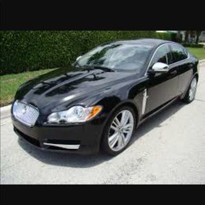 Meet your Posher, Olga